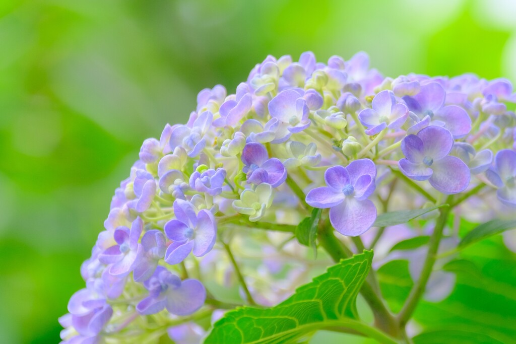 散歩の途中で。