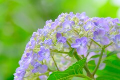 散歩の途中で。