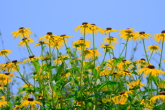 散歩の途中で。