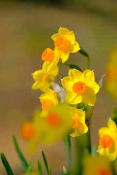 散歩の途中で。Ⅵ