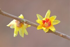 散歩の途中で。2