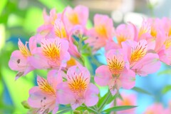  (2)散歩の途中で。-29