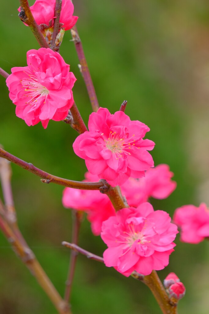 散歩の途中で。Ⅱ