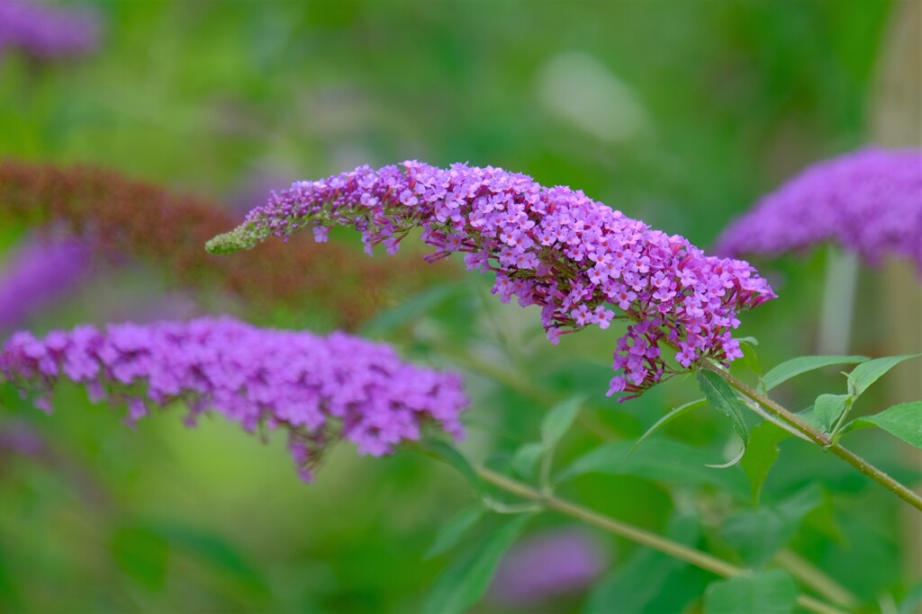 散歩の途中で。Ⅶ