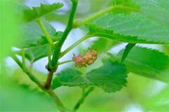 散歩の途中で。2