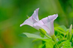 散歩の途中で。