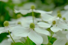 散歩の途中で。５