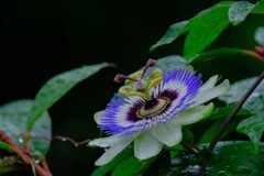 散歩の途中で。⑤