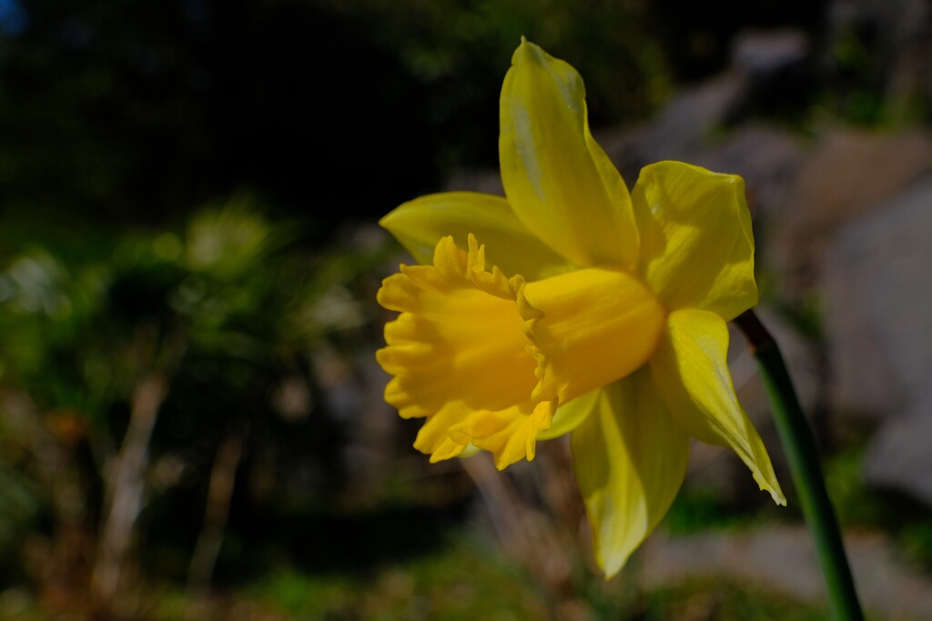 散歩の途中で。①