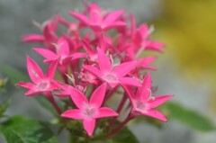 散歩の途中で。Ⅱ