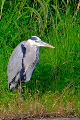 散歩の途中で。Ⅴ
