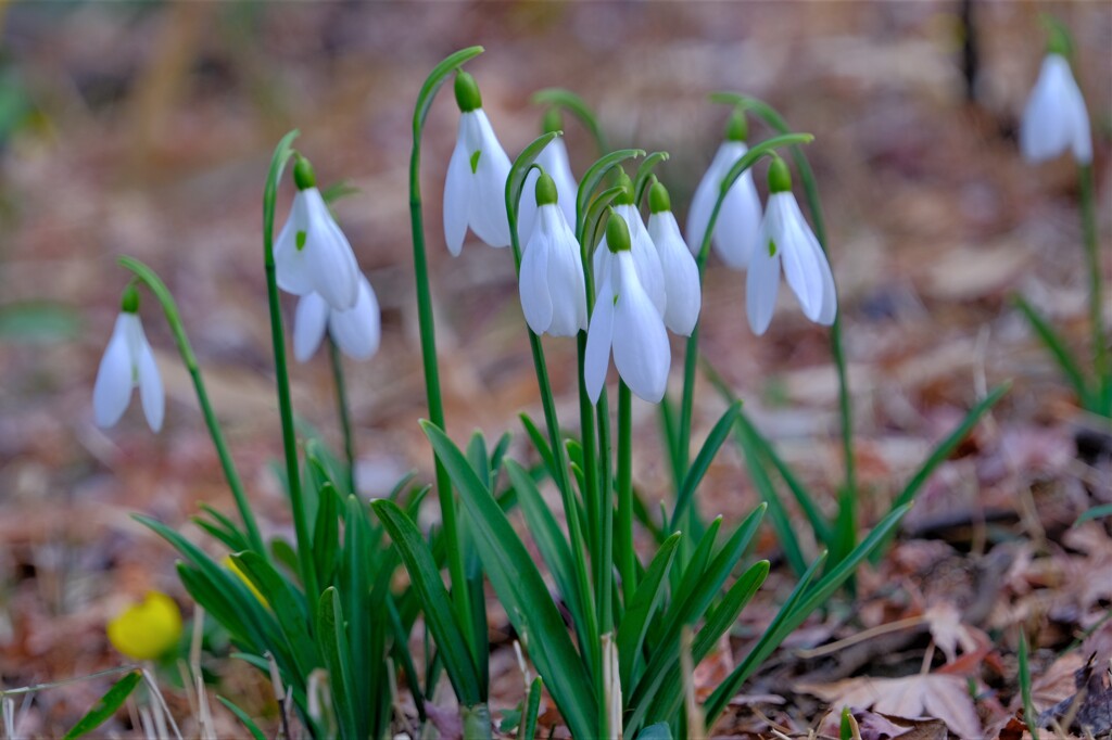 散歩の途中で。Ⅲ