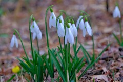 散歩の途中で。Ⅲ