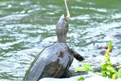 散歩の途中で。７