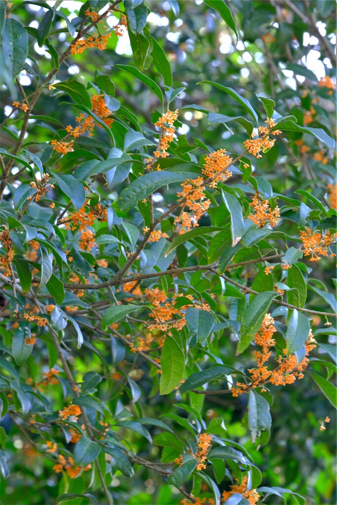 散歩の途中で。Ⅴ