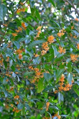 散歩の途中で。Ⅴ