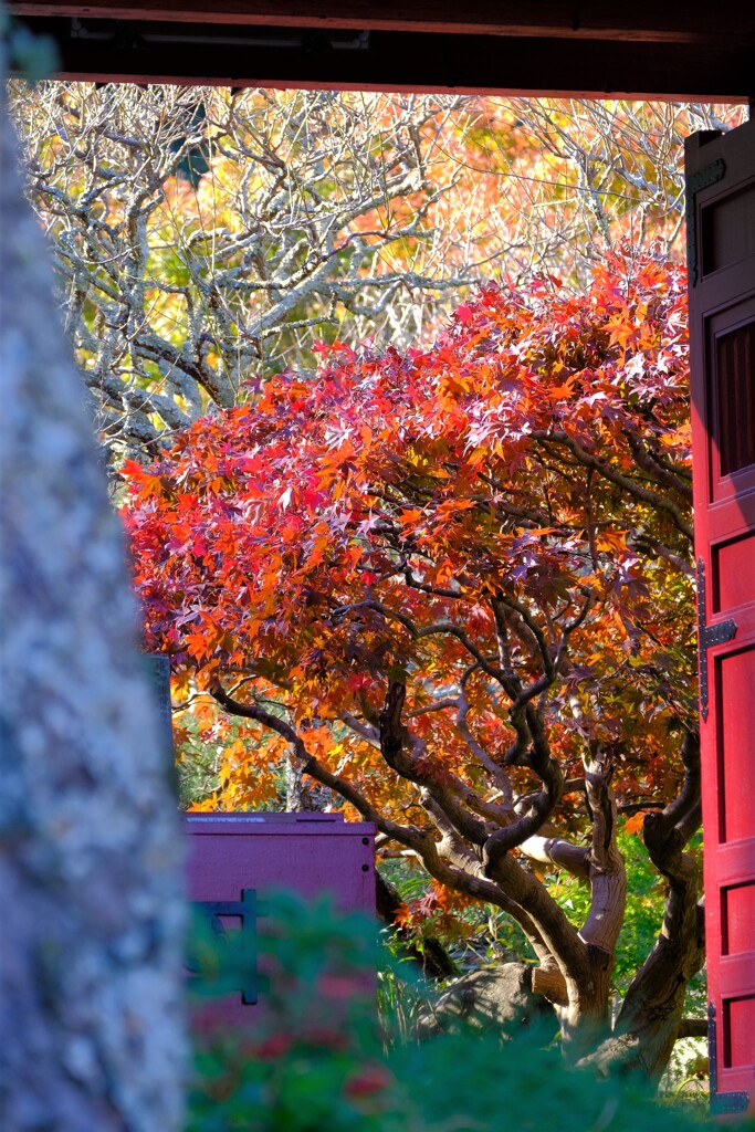 散歩の途中で、②