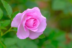 散歩の途中で、Ⅰ