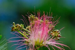 散歩の途中で。8