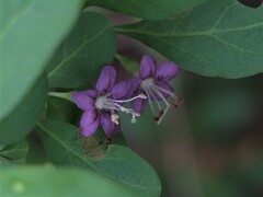 散歩の途中で。１