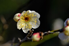 散歩の途中で。１