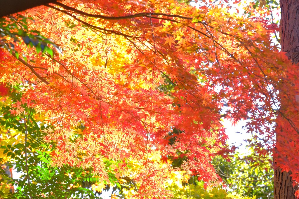 散歩の途中で。４，