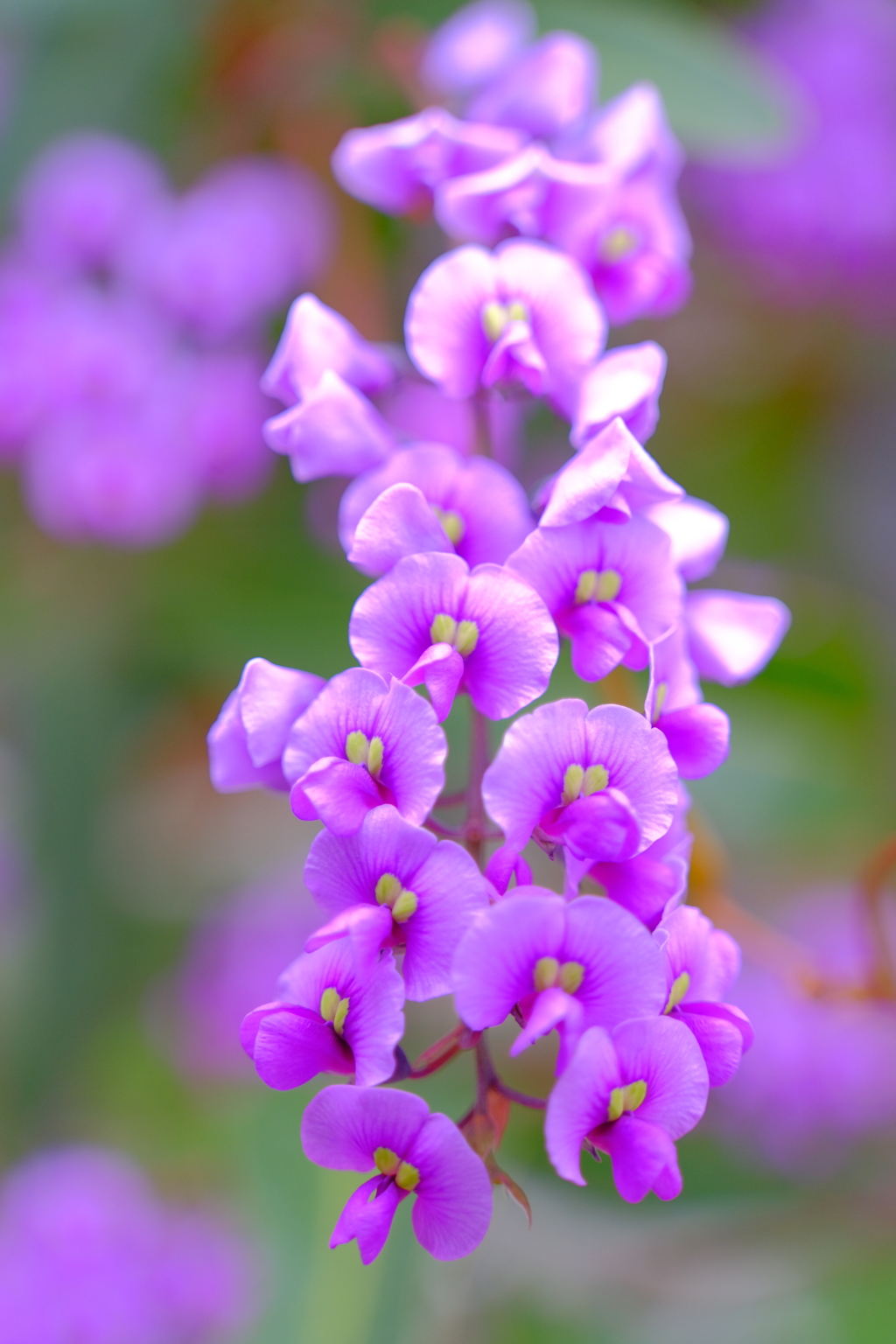 散歩の途中で。9