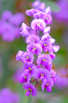 散歩の途中で。9