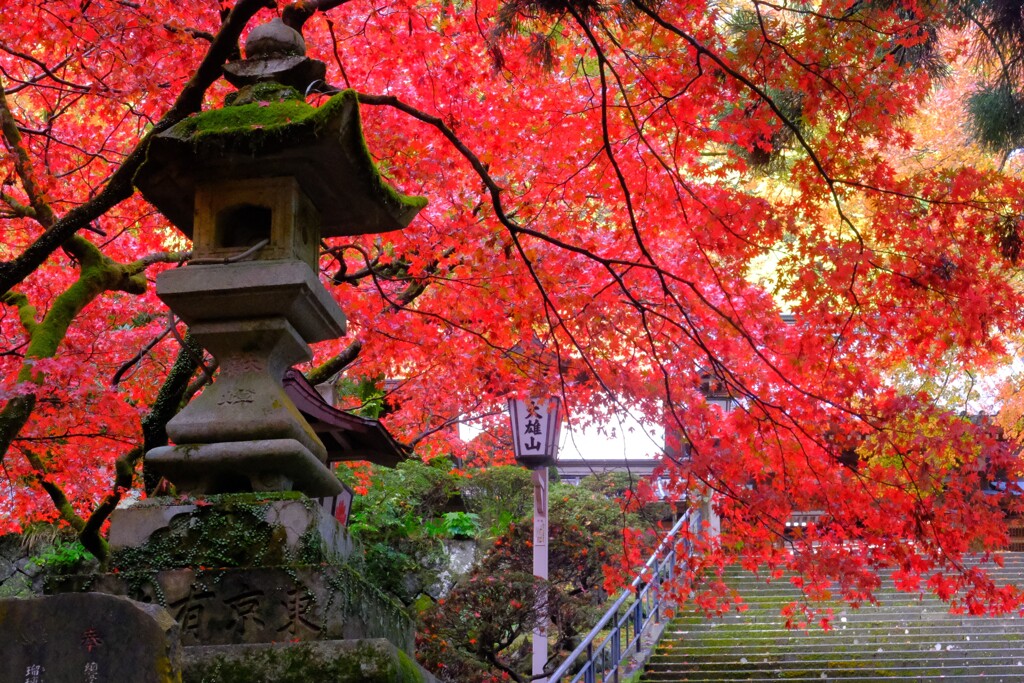 散歩の途中で、遠出　Ⅰ