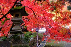 散歩の途中で、遠出　Ⅰ