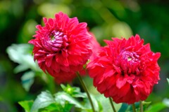 散歩の途中で。Ⅶ