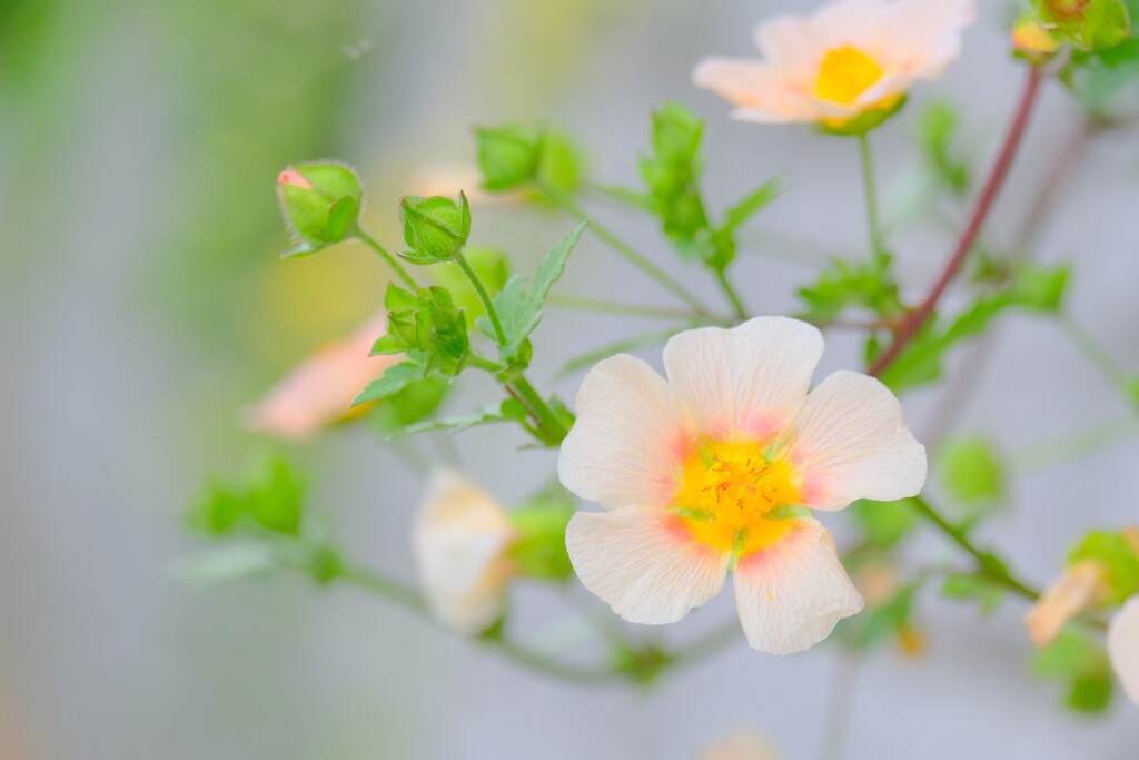 散歩の途中で。