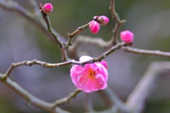 散歩の途中で。Ⅳ