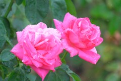 散歩の途中で。