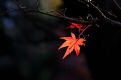 散歩の途中で。１