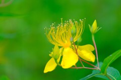 散歩の途中で。（９）