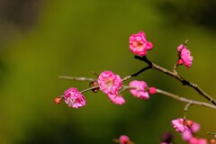 散歩の途中で。Ⅳ