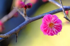 散歩の途中で。②