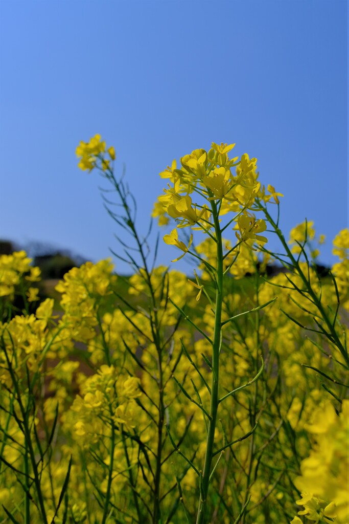 散歩の途中で。２