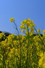 散歩の途中で。２