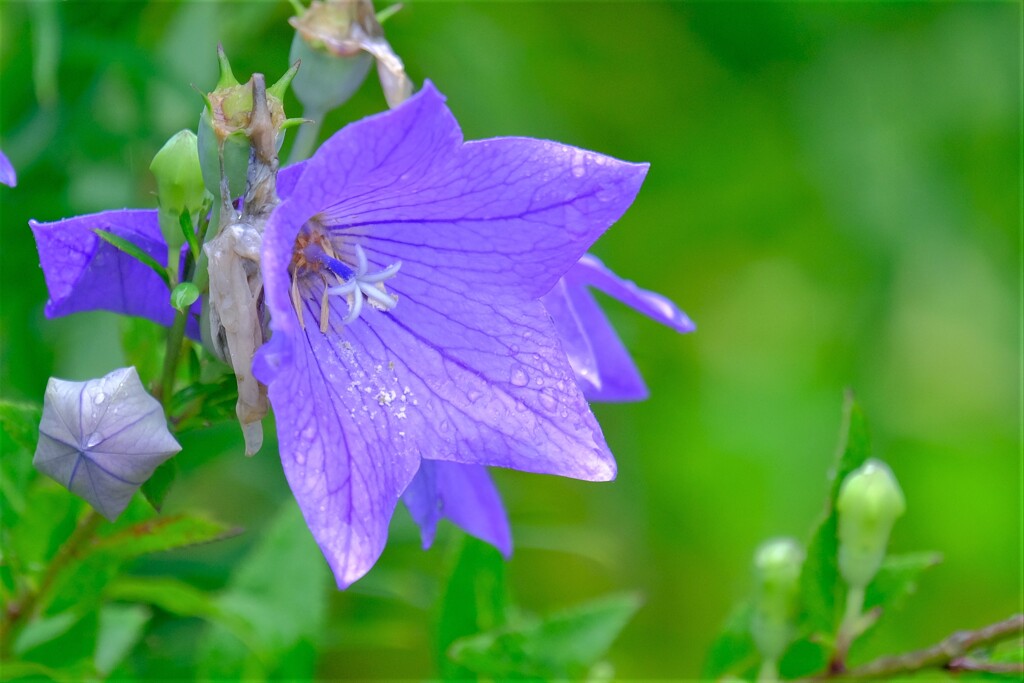 散歩の途中で。Ⅵ