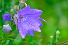 散歩の途中で。Ⅵ