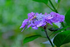 散歩の途中で。２