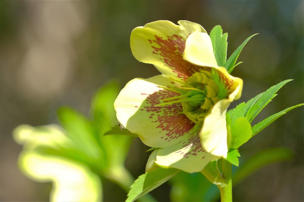 散歩の途中で。⑨