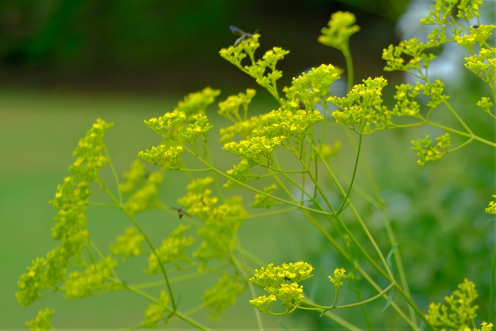 散歩の途中で。Ⅸ