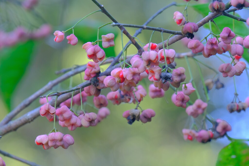 散歩の途中で。②