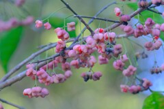 散歩の途中で。②