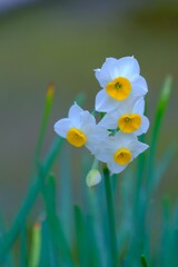 散歩の途中で。Ⅷ