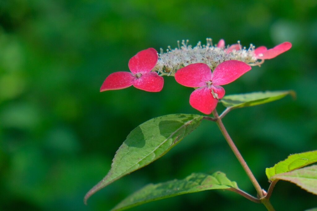 散歩の途中で。