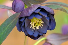 散歩の途中で。3